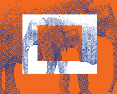 graphic of three elephants