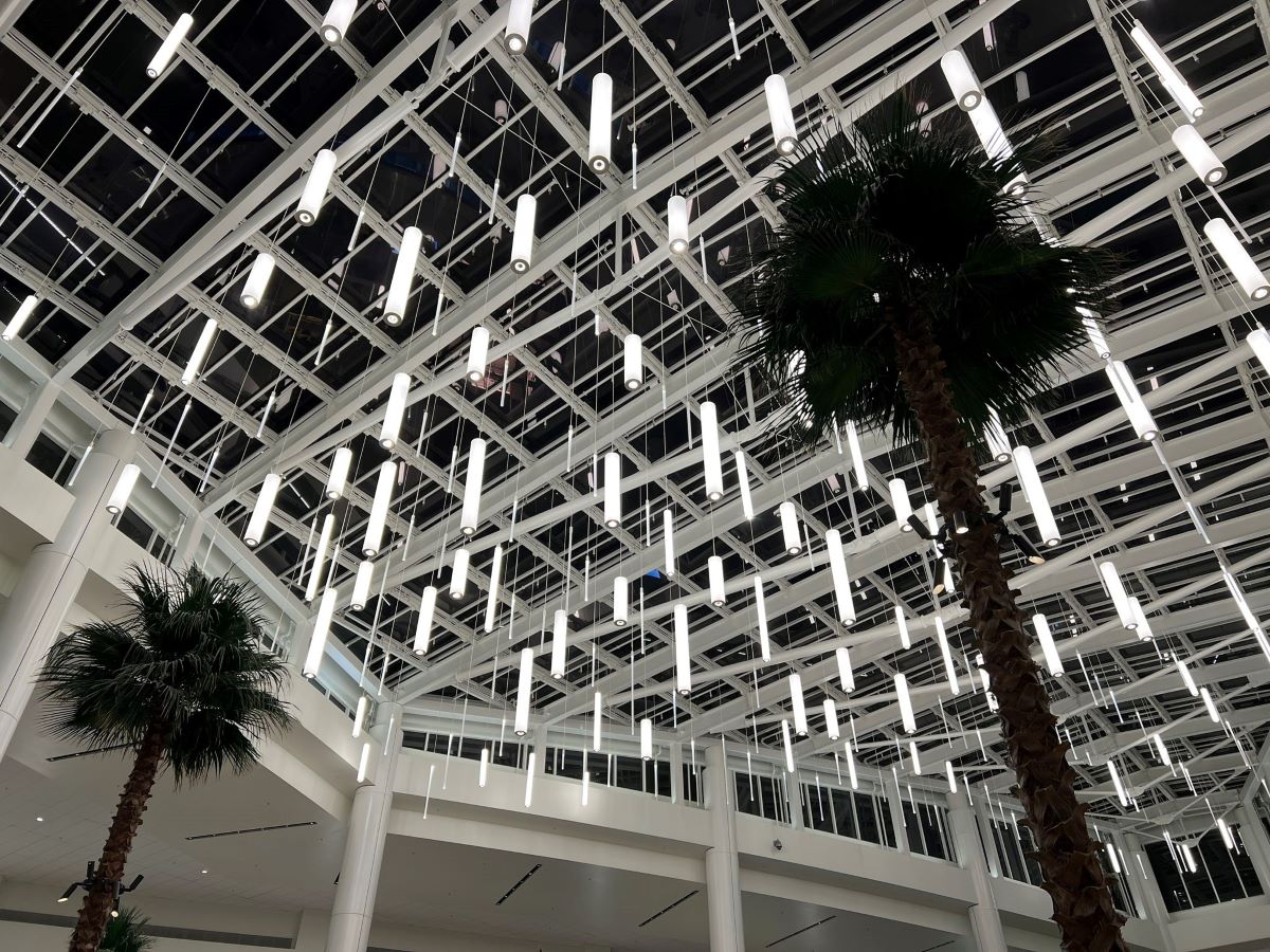palm trees underneath glass ceiling