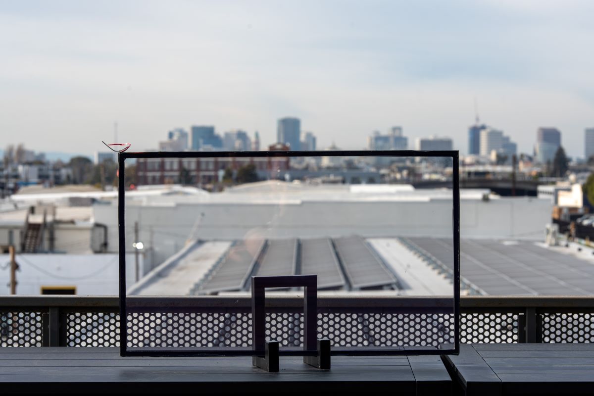 bird-safe glass