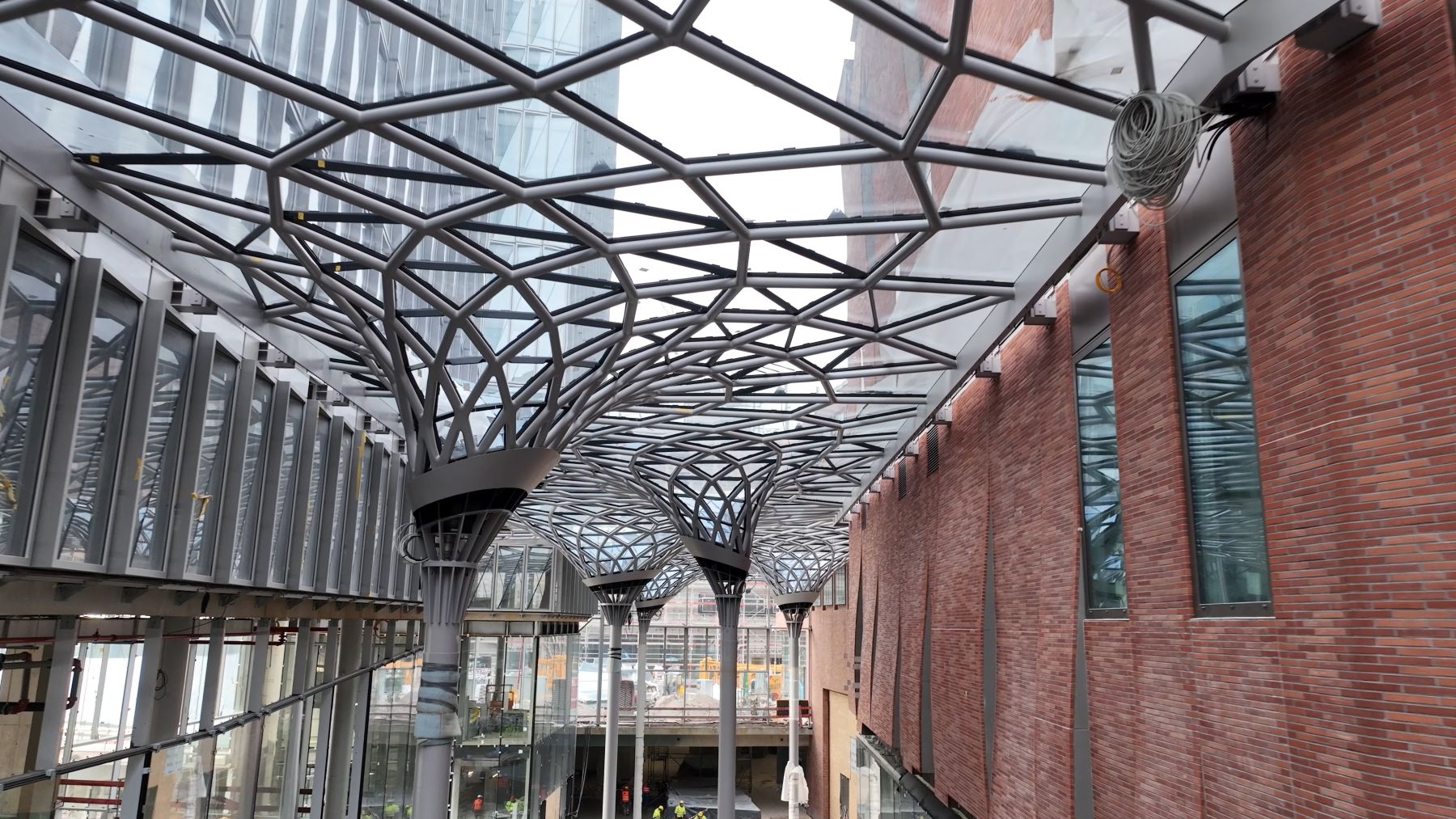 glass roof