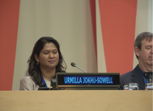 panel at the United Nations IYOG closing ceremony