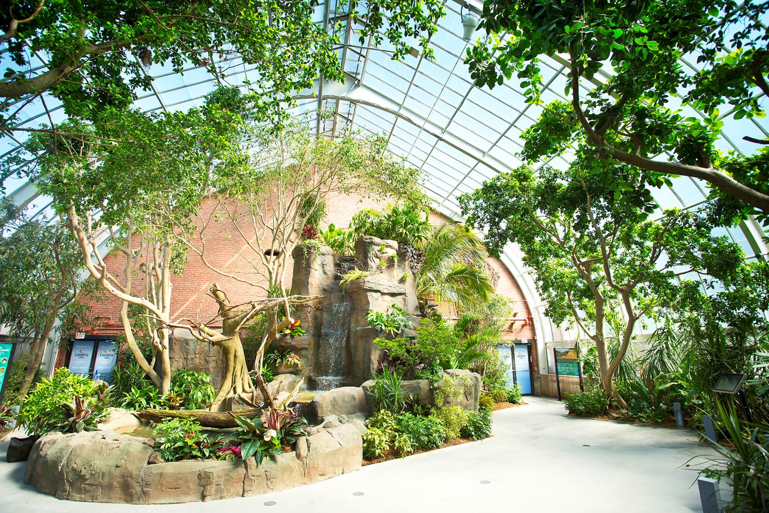 Vitro Glass provided 3,100 panels of bird-safe laminated Starphire Ultra-Clear glass to renovate the canopy covering the National Aviary's Tropical Rainforest exhibit. Photo credit: Jim Cunningham 