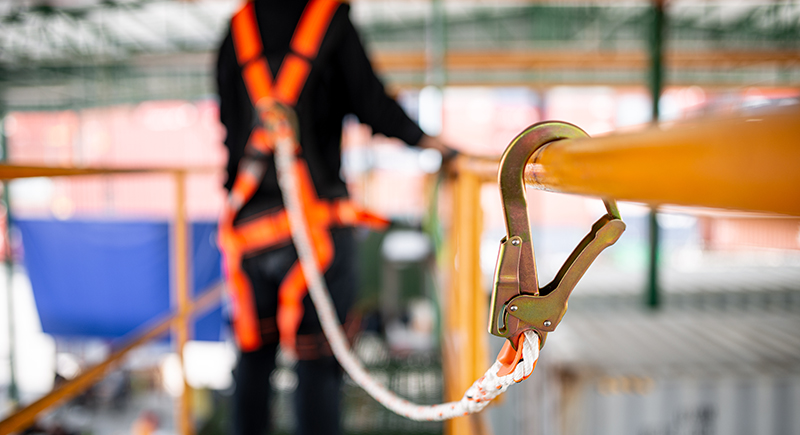 Safety harness