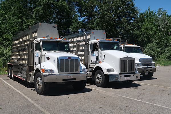 Glass transport trucks