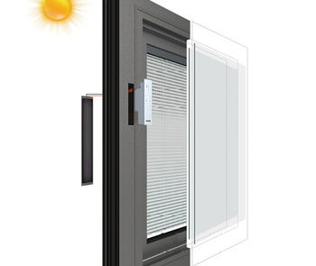 Insulating glass with blinds