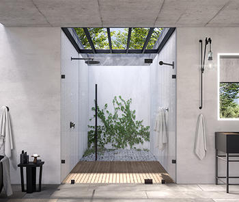 an interior photo of a frameless shower enclosure below a skylight 